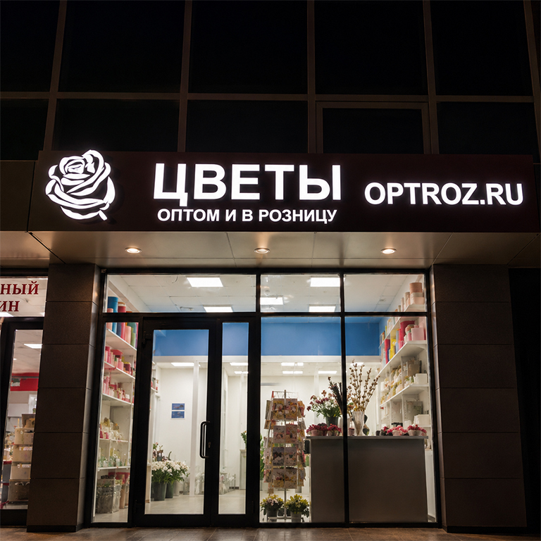 Работа из портфолио 1